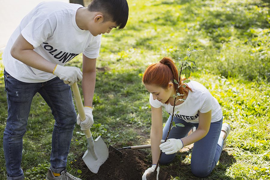 Specialized Business Insurance - Two People Planting a Tree in a Park For Non Profit and Volunteer Organization